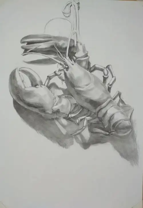 大龙虾素描练习(二)_腾讯新闻