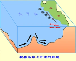 沿岸上升流