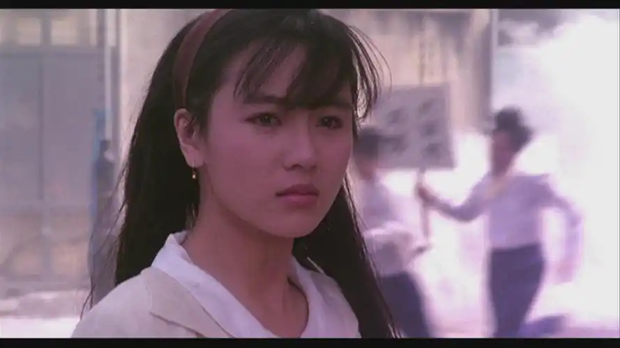 美人不迟暮袁洁莹的图集