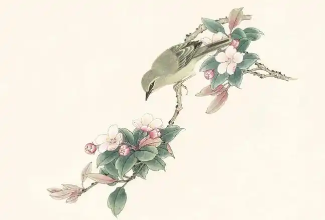 方形纸面花鸟画《山雀海棠花》创作精讲!