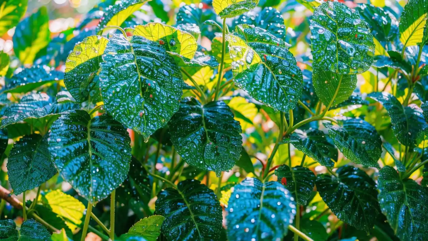 99清新绿色森林背景图大放送98 走进清新的绿色森林,感受大自然的