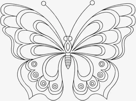 动物蝴蝶头像简笔画对称图形简笔画剪纸轴对称图形的蝴蝶简笔画对称