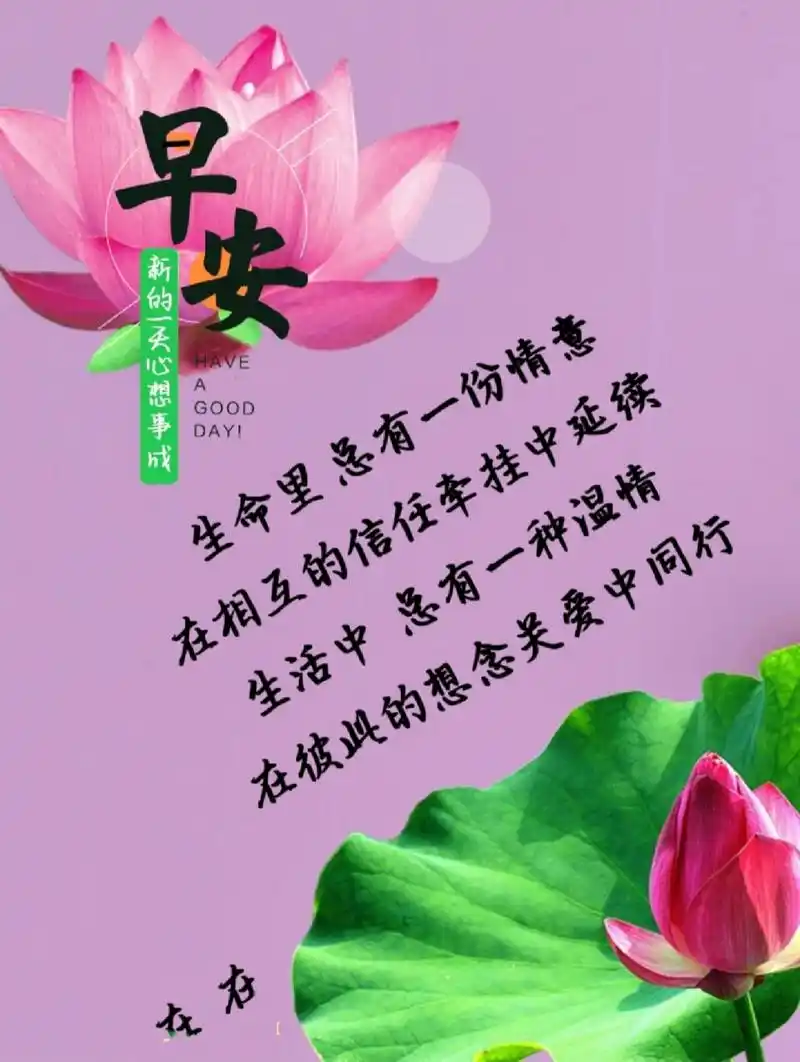 早安问候图. 生命里,总有一份情意,在相互的信任牵挂中延续.
