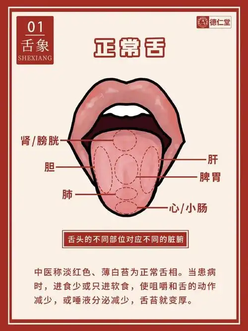 6种中医常见舌象