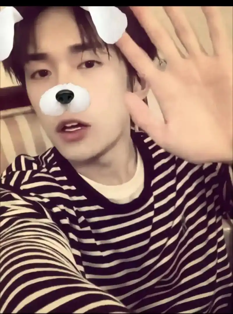 易烊千玺狗狗壁纸