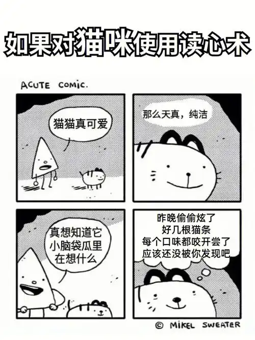 揭露诡计多端猫猫教的真面目60