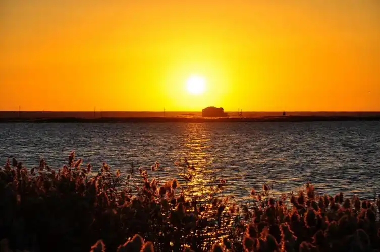 居延海清晨-日出与海鸥