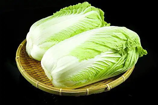 白菜图片