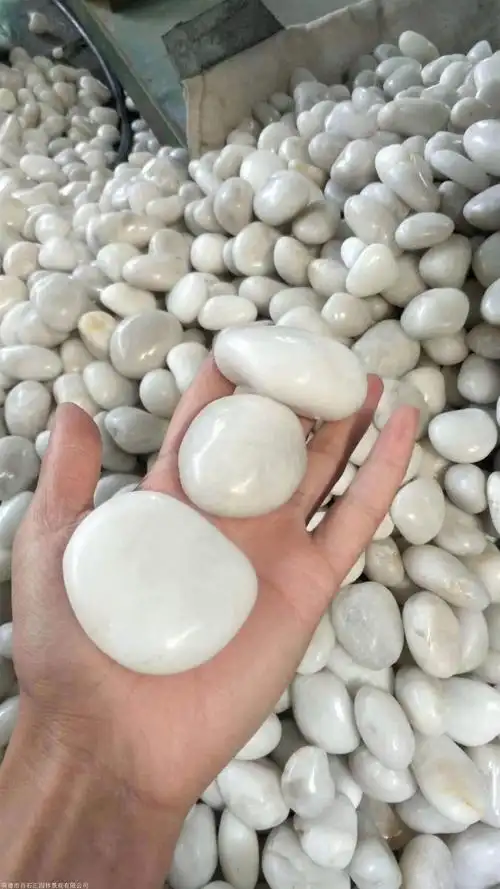 白色 鹅卵石厂家批发 园林造景石铺路石