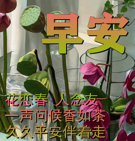 11月6日最漂亮早上好动态表情图片大全,早晨好动图美图大全