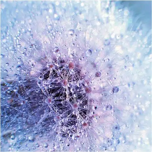 50张富有创意的照片