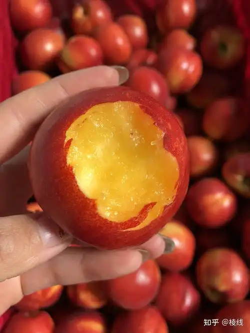 山东蒙阴桃皇后红油桃