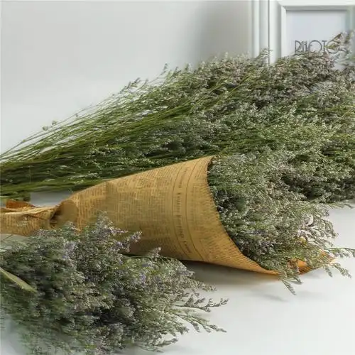 干花云南情人草大束勿忘我家居摆设小清新装饰鲜花干花