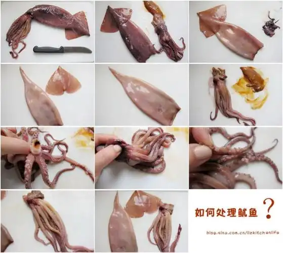 圆白菜炒粉丝香蒜爆鱿鱼的做法步骤