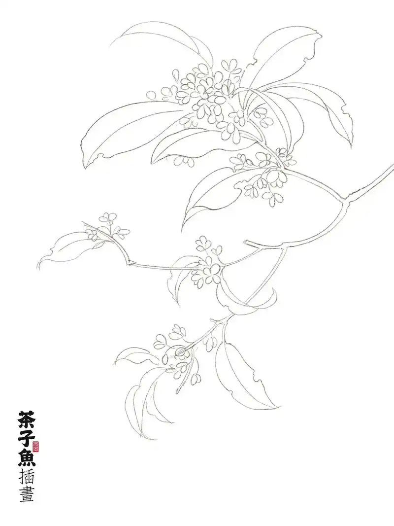 工笔桂花 | 附样稿,线稿,色卡,图层.由于这里发不了链接, - 抖音
