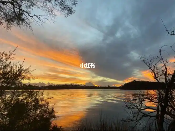 sunset是什么意思(looksunset是什么意思)