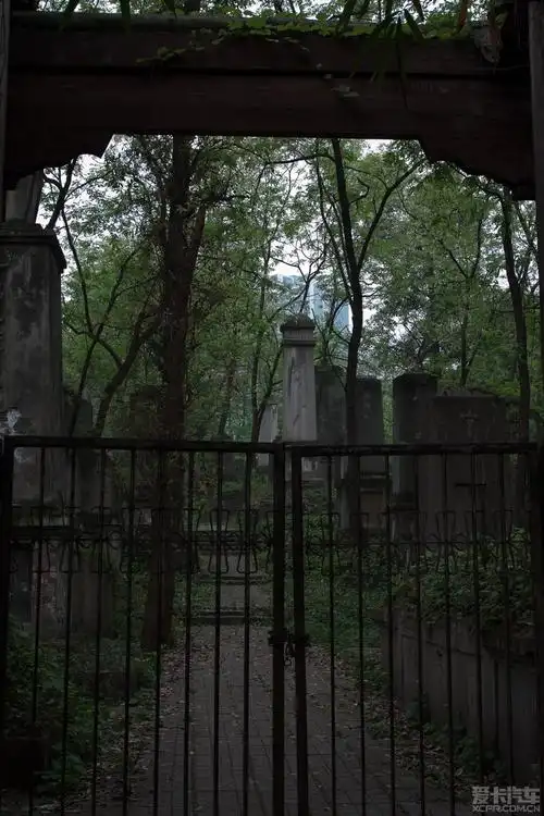 > 寻访重庆红卫兵墓园