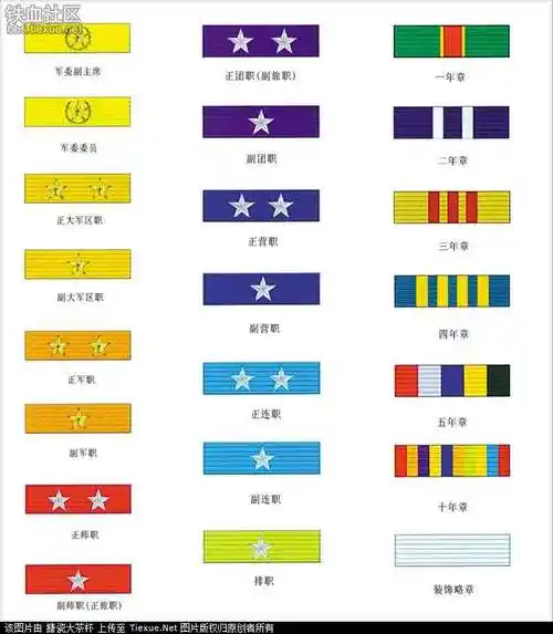 可以显示军人的服役年限,军职级别.一个是肩章,叫军衔.