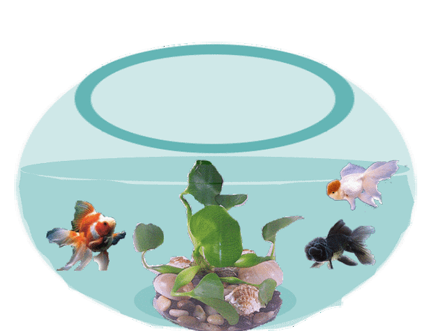 650_500gif 动态图 动图