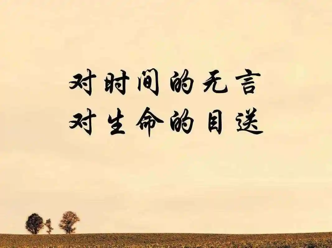 只不过意味着,你和他的缘分就是今生今世不断地目送他的背影渐行渐远