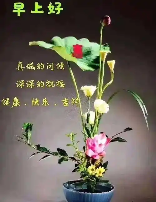 新版微信早晨好祝福图片表情带字,2024朋友圈最新版早上好问候语句_好