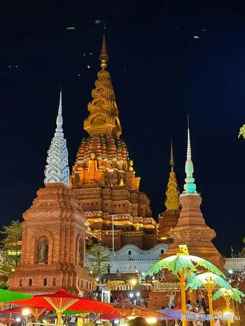 西双版纳风光美如画,带你一起感受大自然的神奇与宁静!