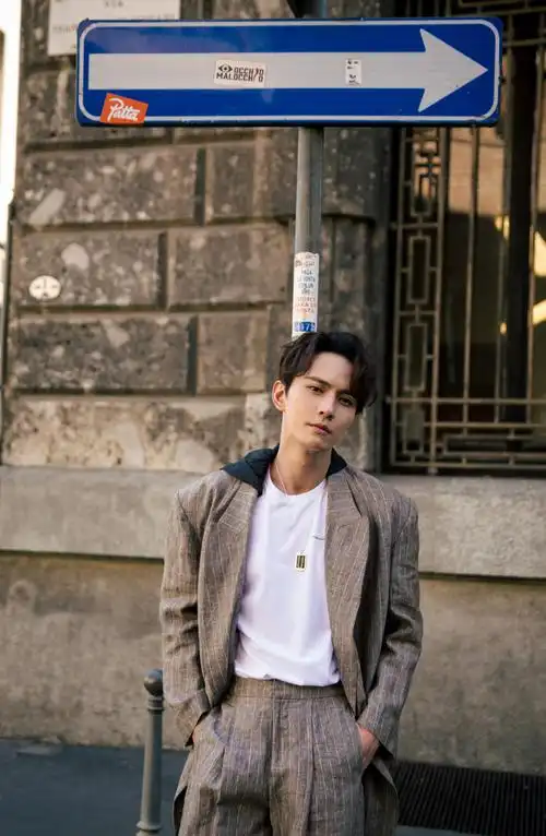 徐正溪英伦风帅气街拍图片