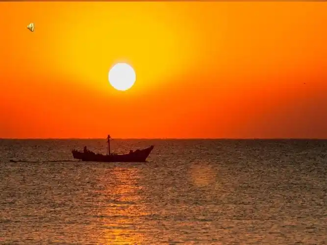 小学语文人教四年级下册第五单元井研县研城小学校毛金艳海上日出_第3