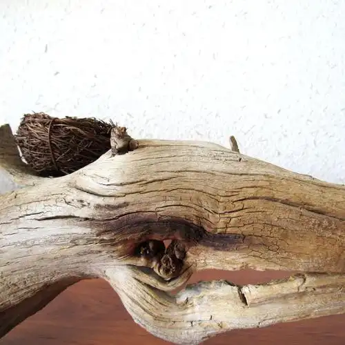 千年胡杨老树古树随形风化枯木根艺摆件家居摆件