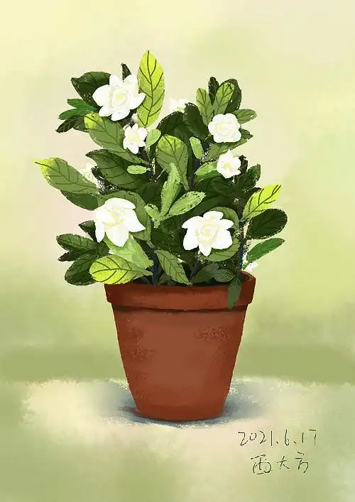 绿色植物盆栽插图及样机|插画|创作习作|西大方 - 原创作品 - 站酷