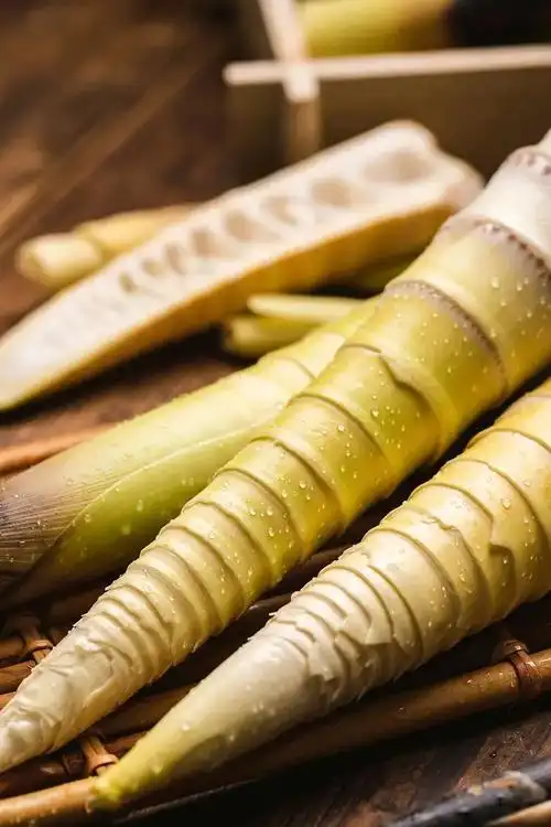 荥经竹笋丨大熊猫最爱的熊猫笋这个秋天一起去吃