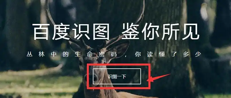 可以用"百度识图"功能,具体如下:2022-09-24闪闪亮晶晶浏览器扫一扫