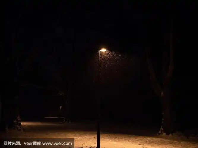雪天夜晚公园内的一盏路灯