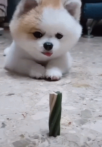 358_514竖版 竖屏gif 动态图 动图