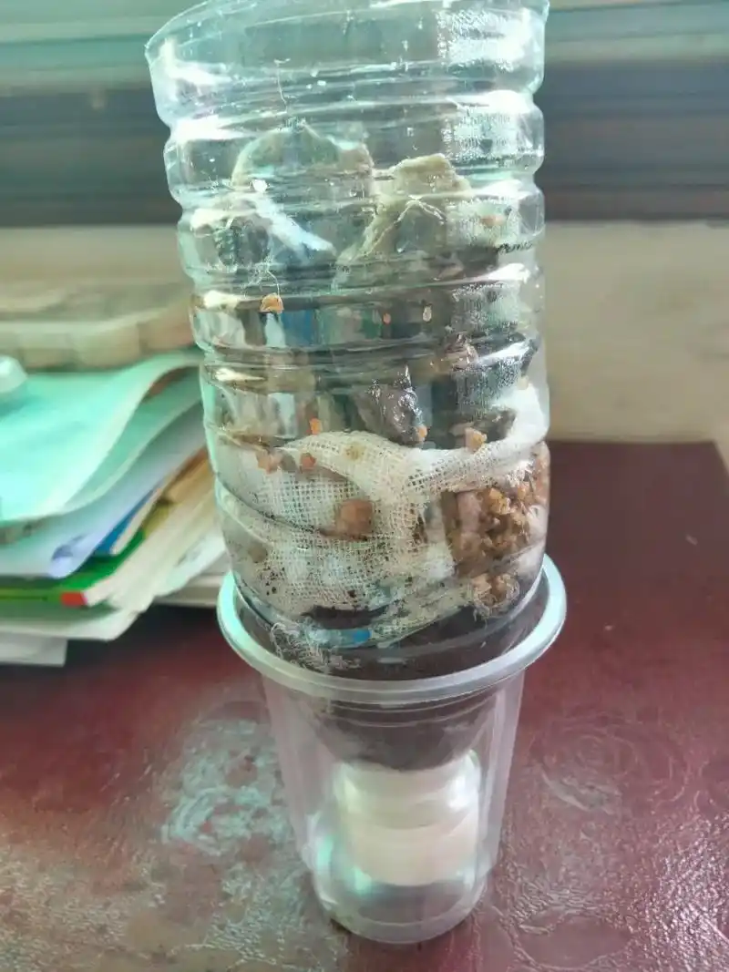 化学实验 自制简易净水器 第十六弹 - 抖音