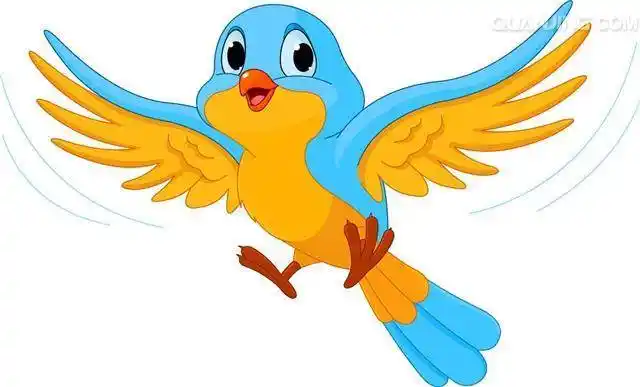 可爱的小鸟卡通图片