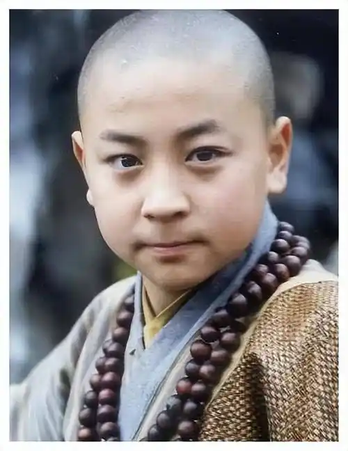 河南帅哥录:顶流王一博,冠军宁泽涛,看看谁是你心中的男神_释小龙