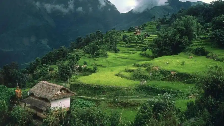 清新乡村田园风光高清桌面壁纸-风景壁纸-壁纸下载-美桌网