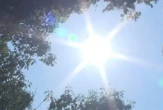 今天上午9点,烈日当头,在塔城东路(新成路至嘉罗公路段),养护工人正在