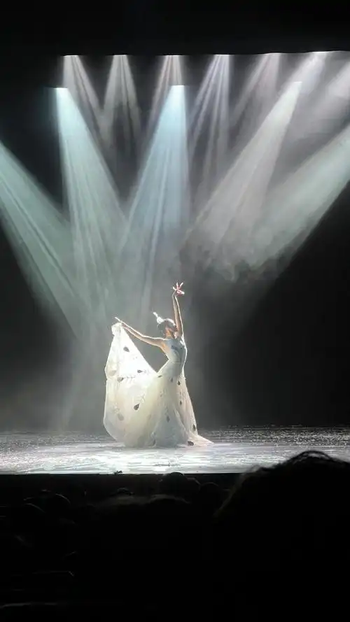 杨丽萍老师作品!《云南映象》