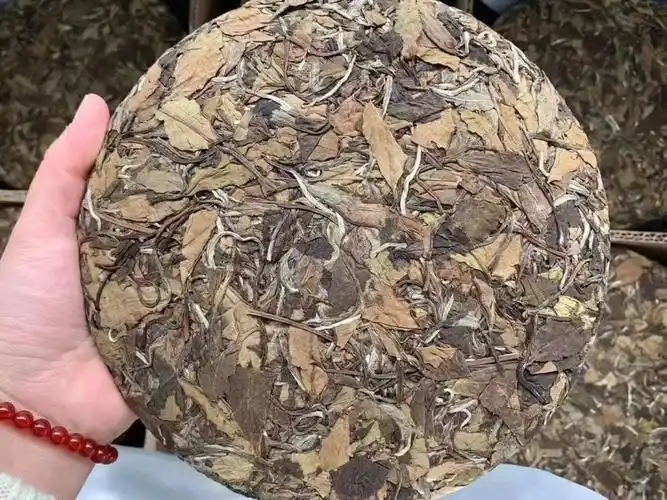 福鼎白茶老白茶贡眉2014