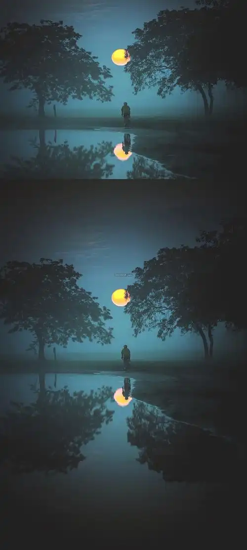 户外一轮金黄的月亮水面倒映着月亮和行人的影子
