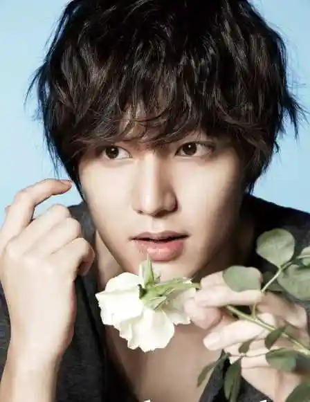 韩国男明星李敏镐纹理烫发型