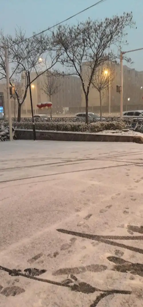 2019-2-13 下雪了