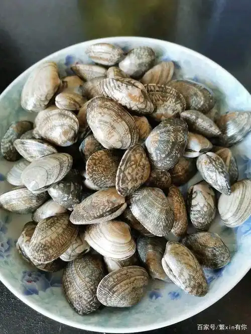 夏季必吃美食花甲篇