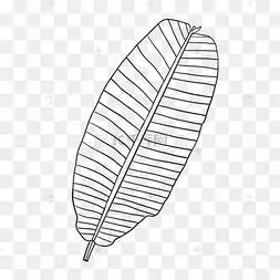 热带线稿可爱横线芭蕉叶