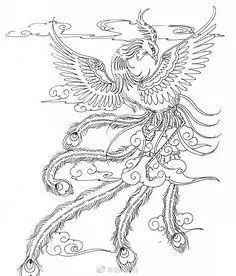 朱雀金刚简笔画四大神兽朱雀简笔画八一老师卡通简笔画 朱雀