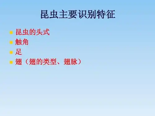 昆虫主要识别特征       昆虫的头式 触角 足 翅(翅的类型,翅脉)
