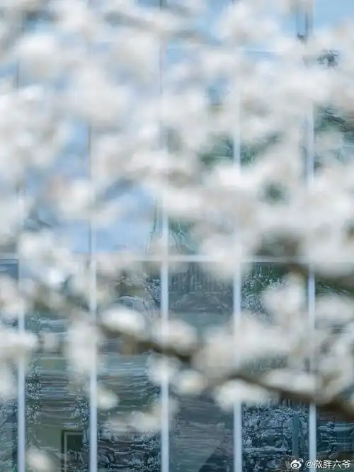 城市巡游记##春日抓捕计划##春游季