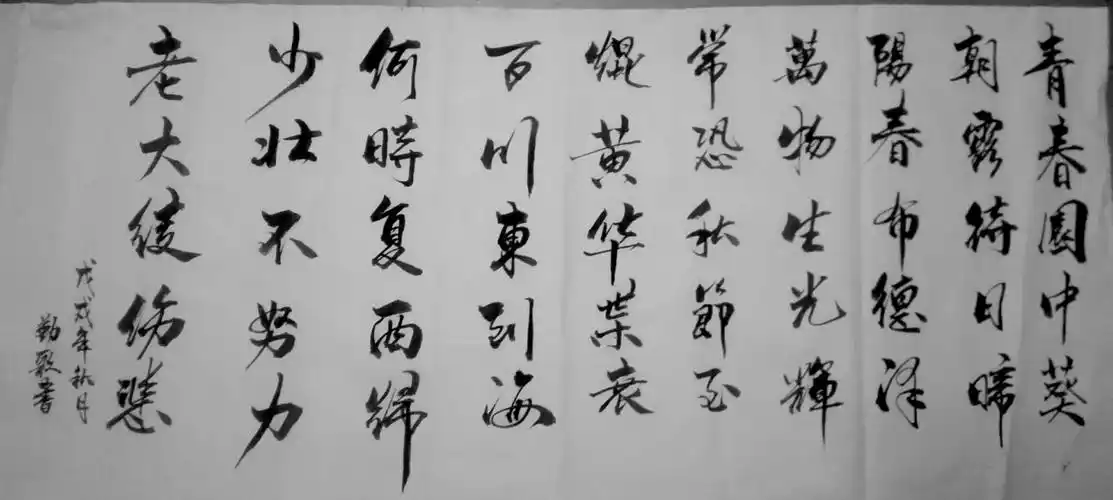 每日写字(长歌行)